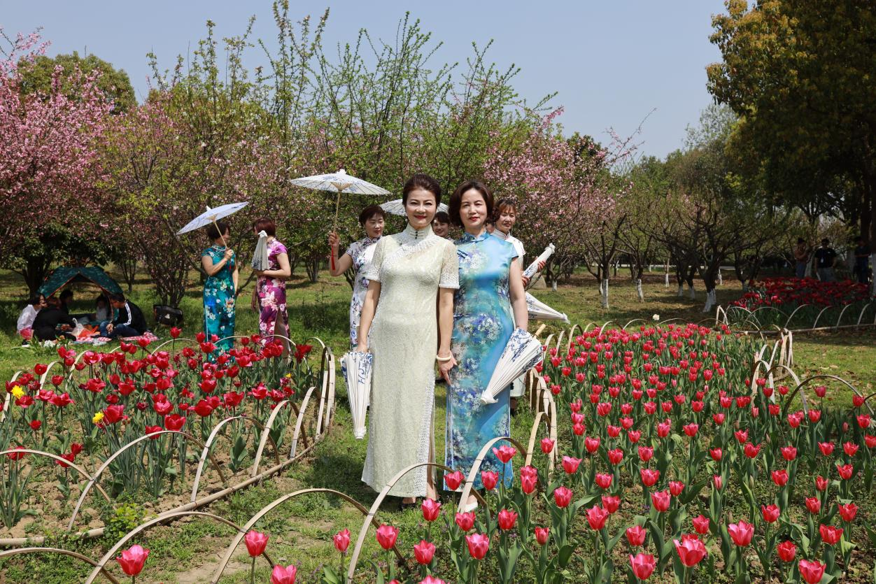 活动回顾｜春来常熟，花开虞城，这个春天一定要来赏花呀