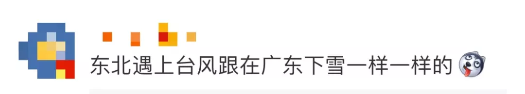 停工、停业、停课！多地发紧急通知