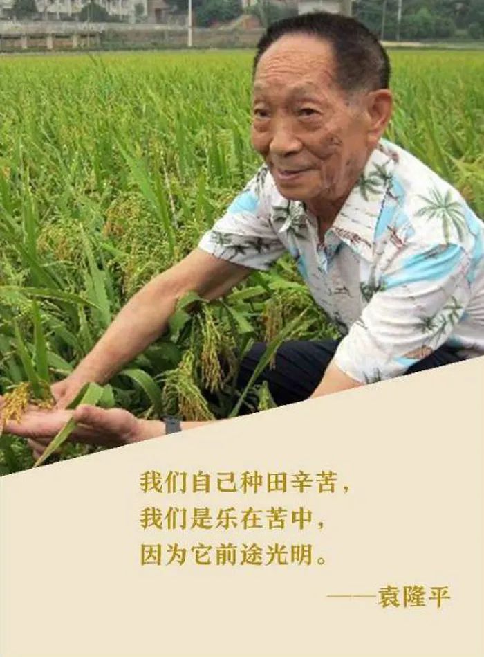 追忆袁隆平与永州市雅大科技实业有限公司的故事