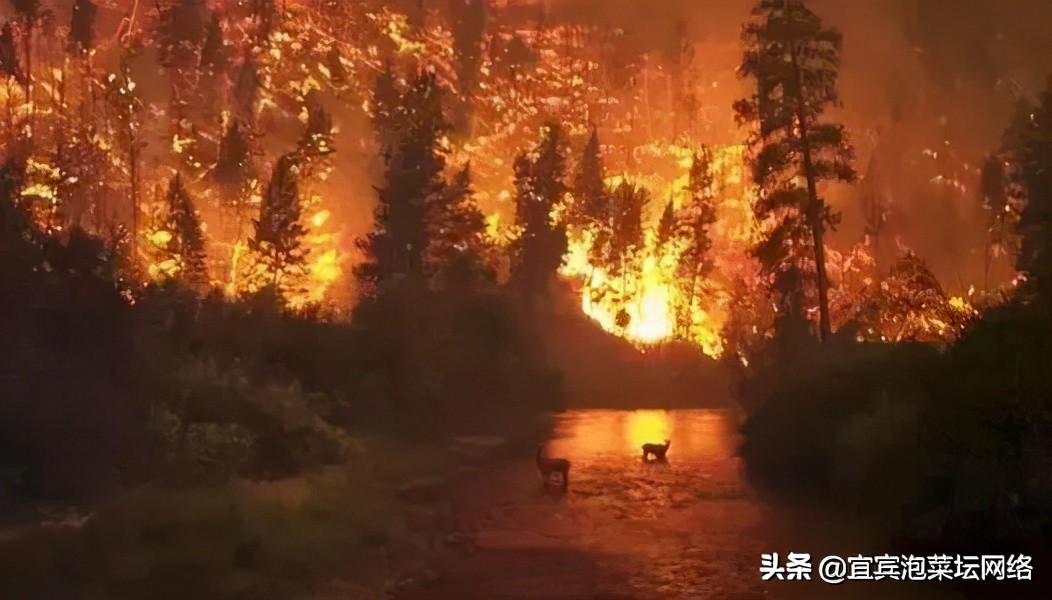 “防”字当头，宜宾防火令“升级”！今年有些不一样