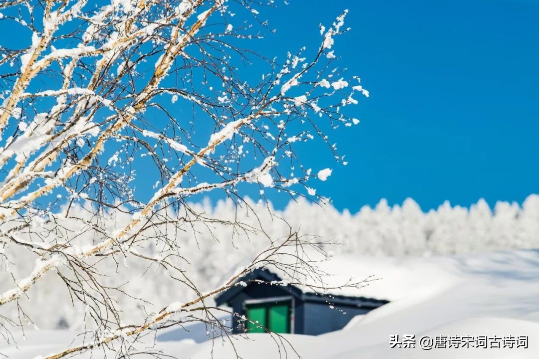 咏雪最好的8首诗词，藏着千古名句，哪一首才是你心中的第一？-第3张图片-诗句网