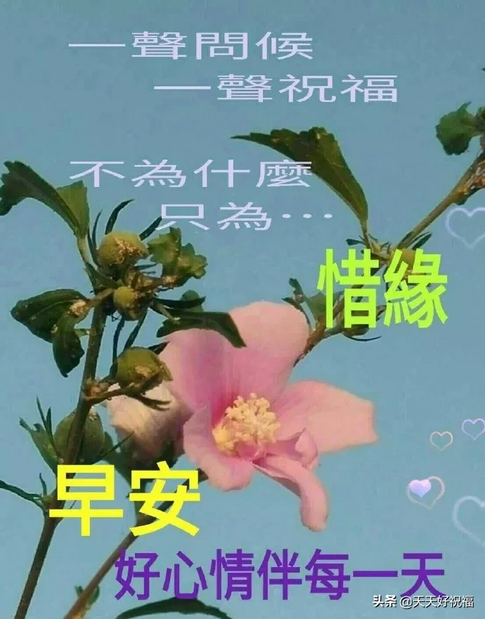 朋友圈上午好问候语（温馨且美好的问候语） 第1张