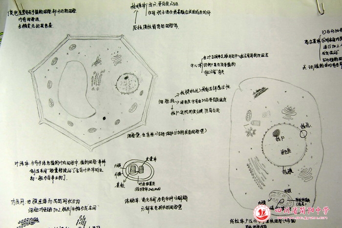 四川省简阳中学怎么样?首届生物学科节(图11)