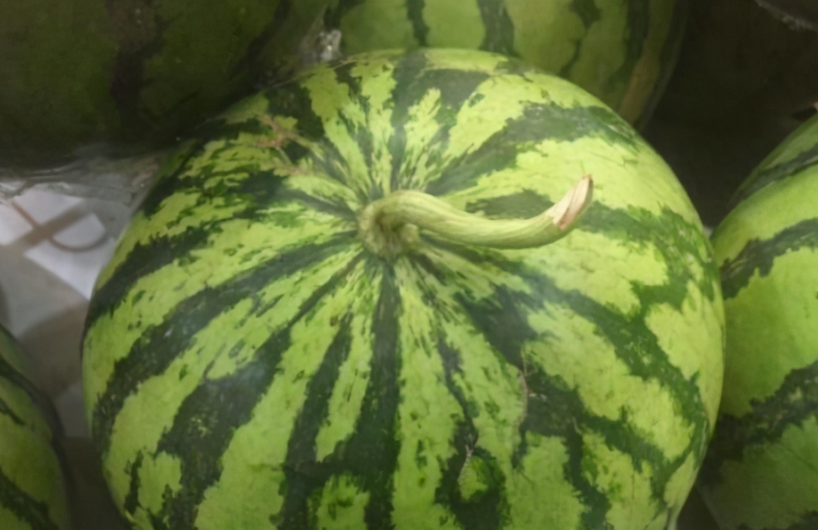 图片[7]-买西瓜如何选熟的 学会“5看1听” 个个熟透 汁水多味道甜-起舞食谱网