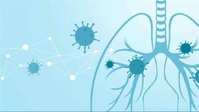 还想欺负中国？华春莹强硬回击；中国政府绝不会坐视不理