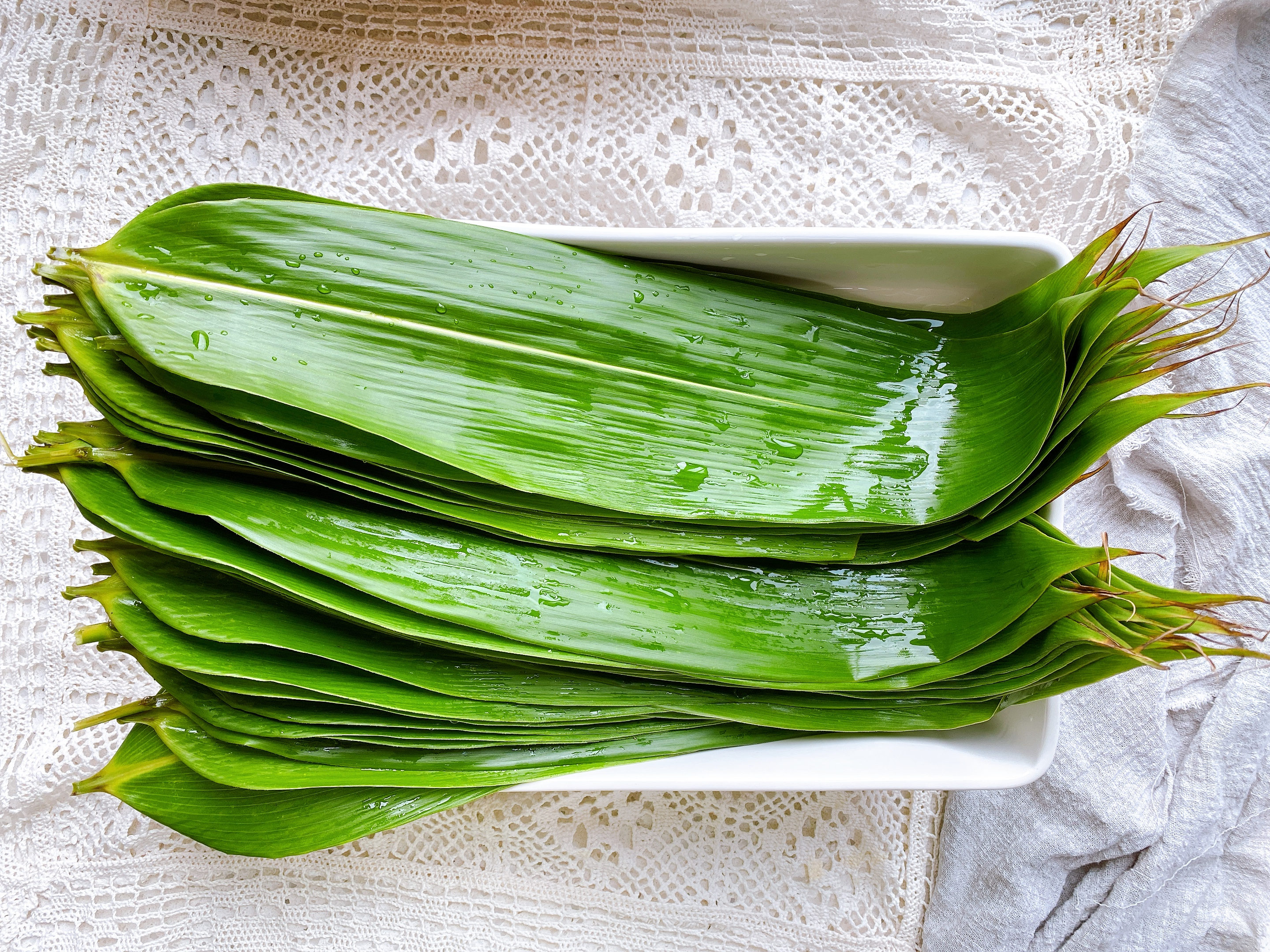 過端午就買不到新鮮粽葉，教你這樣儲存，顏色翠綠一年四季都能用