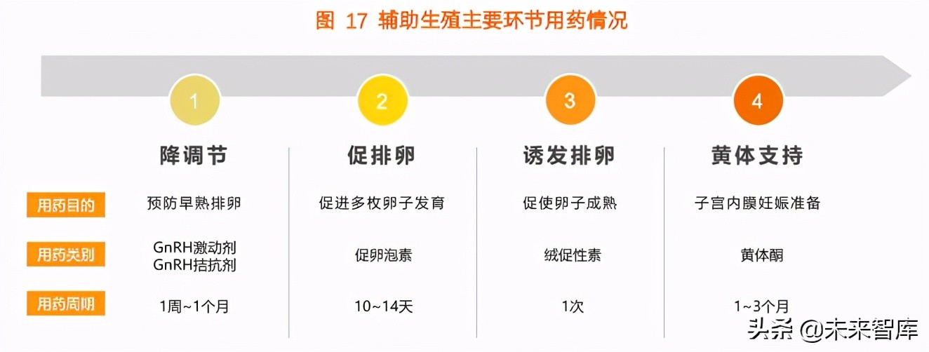 2021辅助生殖行业研究报告