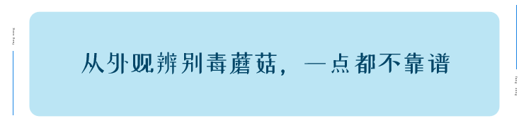 云南人吃菌有多疯狂？年年试毒，年年中毒
