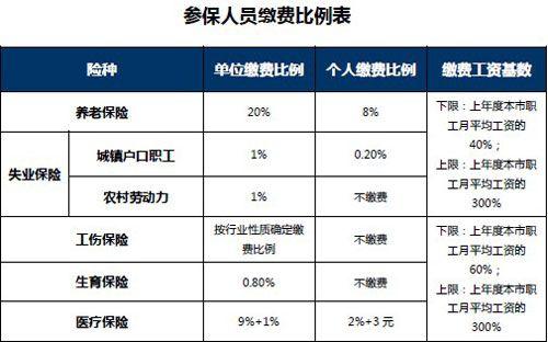 社保缴满15年就停缴？这3点不知道，养老金亏大了！蚂蚁社保