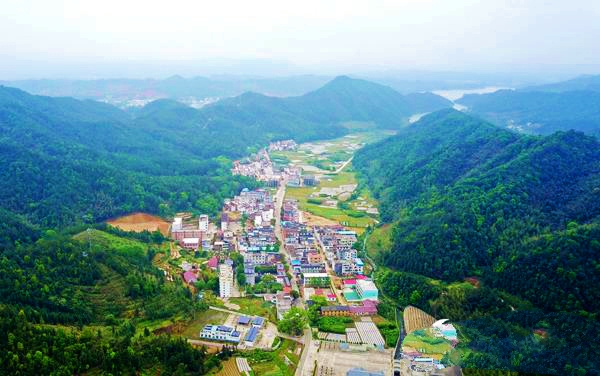 砸毁电台，悲壮的留守红军突围到油山后，陈毅