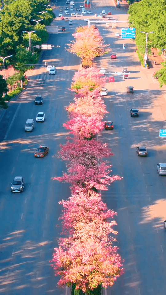 刚过完清明，这个省区又要放假了！全国人民都