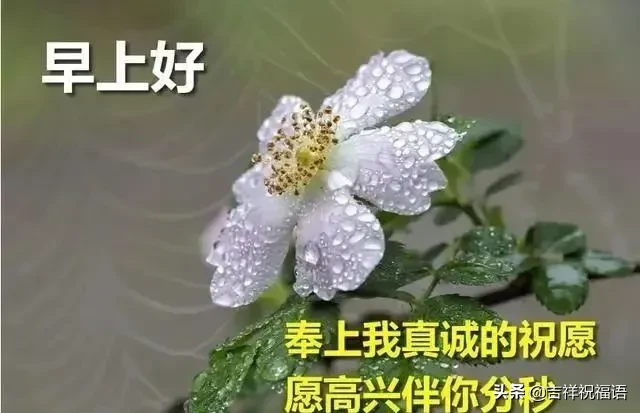 问候大家早上好快乐的早安短信祝福，早上好表情美图图片