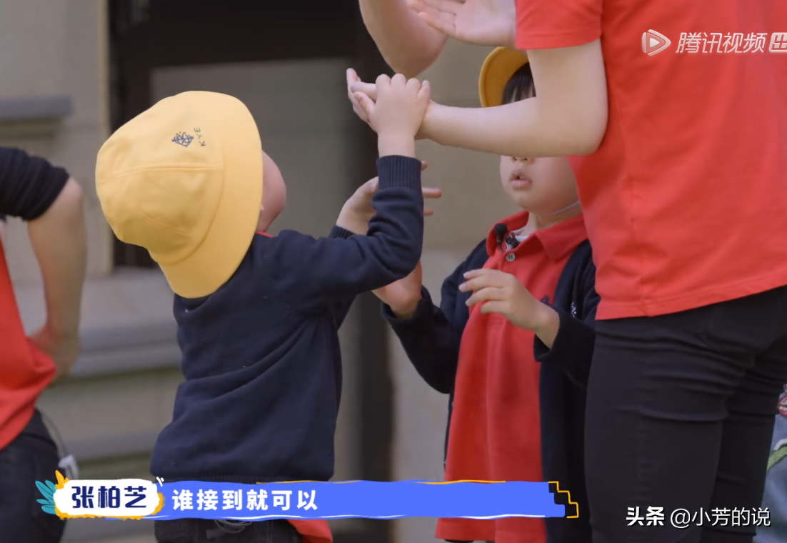 小朋友争玩具一事，张柏芝的处理方式吊打幼儿园专业老师
