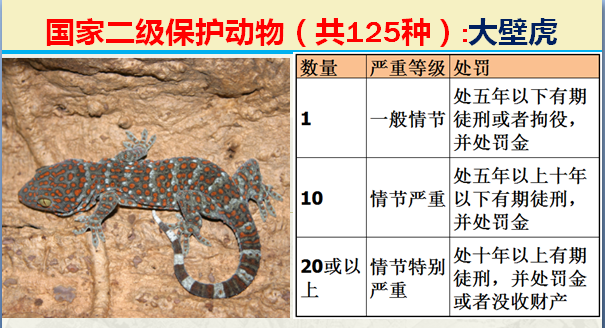 国家最新125类二级野生保护名录，图片及违法对应刑责