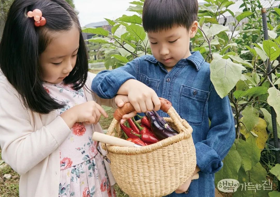 从亚洲最红女星到乡下农妇，49岁的李英爱刷新了