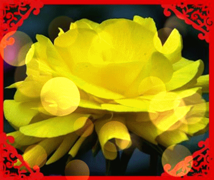 十一|今天正月十一一心一意的祝福 送给群里每一位朋友打开看看吧