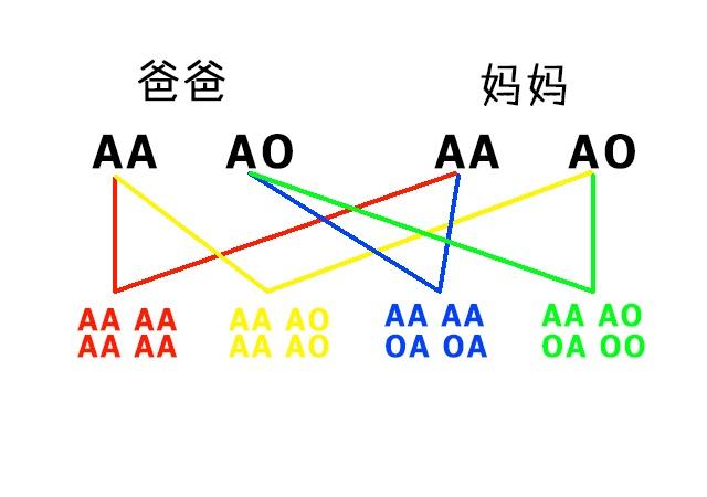 父母与子女血型的关系，血型遗传规律表