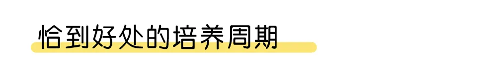 “境越星”启航，追求卓越、乘风破浪！怡境“管培生”培养项目