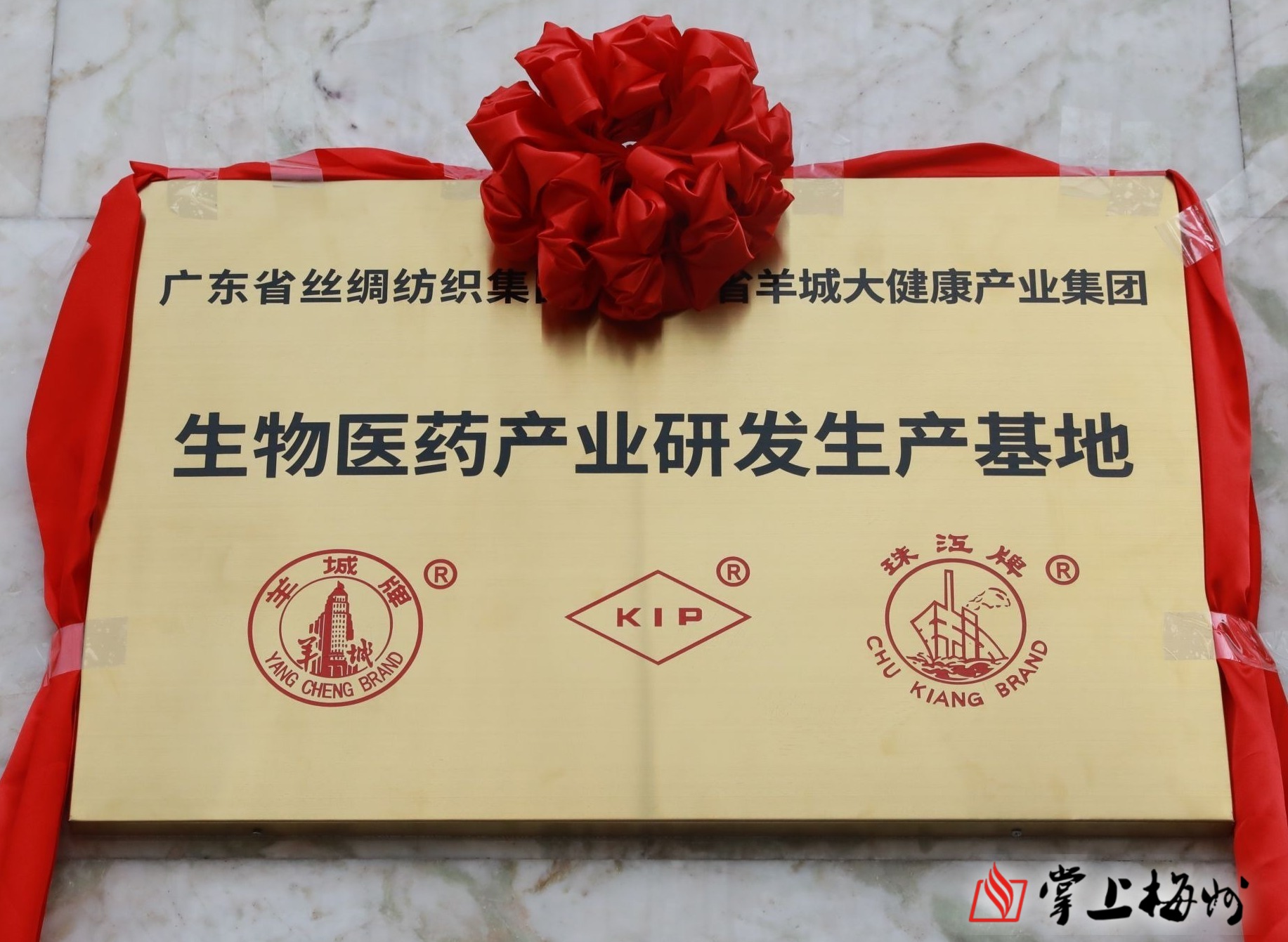 梅州五华医药产业发展迈上新台阶！生物医药产业研发生产基地今日揭幕