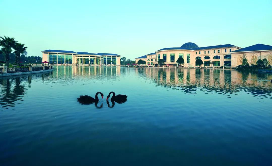 新年出游就是要你嗨！你的春游秘籍请查收