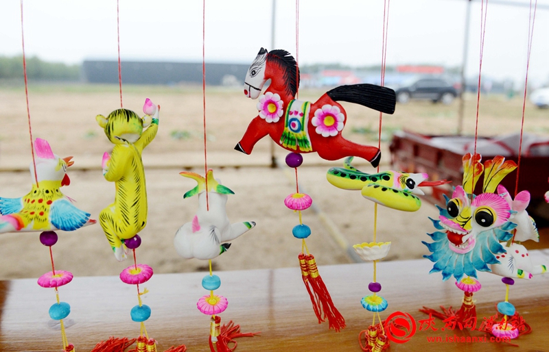 摘蘋果啦,！合陽武帝山下首屆蘋果采摘節(jié)開幕（組圖）