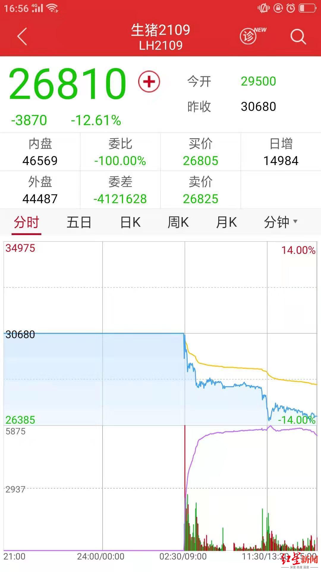 Hog futures appears on the market trade, first days of entire troops under one's command drops the expert reminds " careful investment "