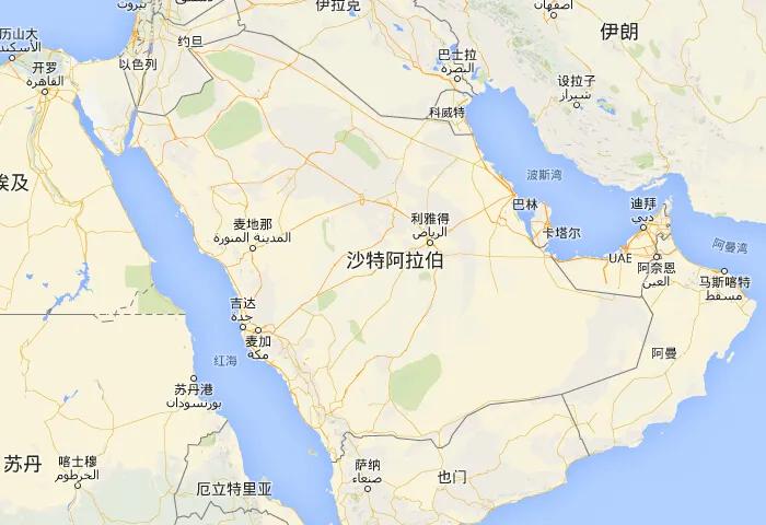 沙特王储萨勒曼——发动大清洗，肢解反对派，封建国家的无冕国君