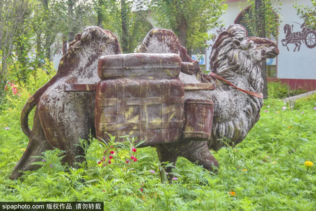 免門票!森林公園裡藏著個“小內蒙古”,還免費停車~