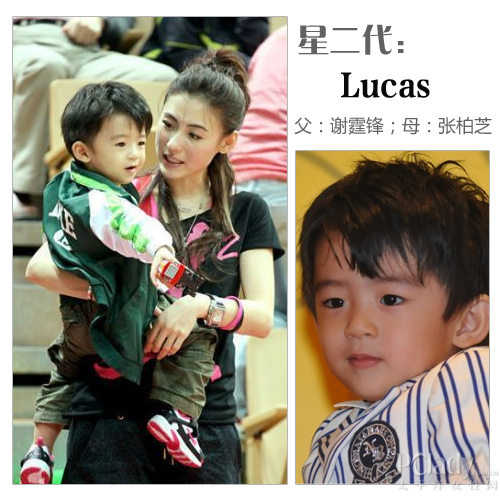 张柏芝一家四口被偶遇，小儿子首次露正脸，模样和二哥谢振南相似