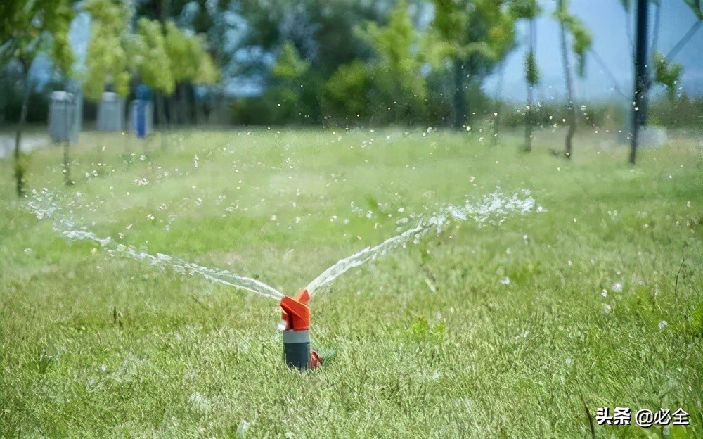 春季各類苗木如何正確澆灌返青水？