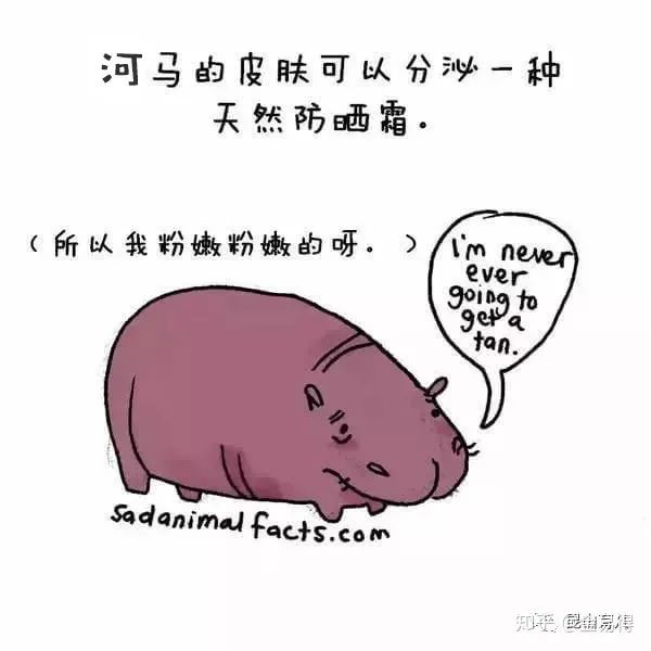 30個(ge) 有趣的科普小星空体育官网入口网站，你知道幾個(ge) ?