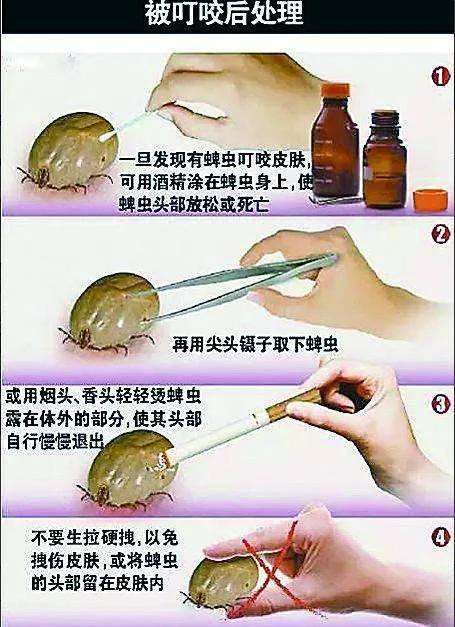 最近高发！新型病毒导致高热、出血，危重症死亡率高达70%！已有人中招！