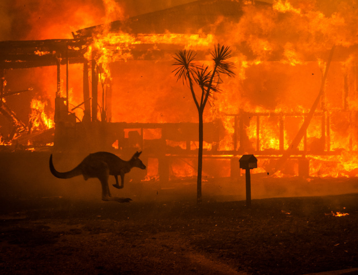 史无前例成家常便饭！2020年到底有多魔幻？