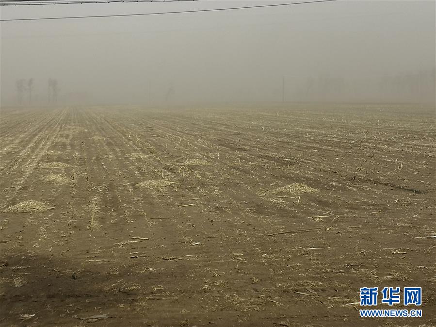 �й���ʳΣ�������������ڱ�ƣ�ǧ���궫������50������ʧ