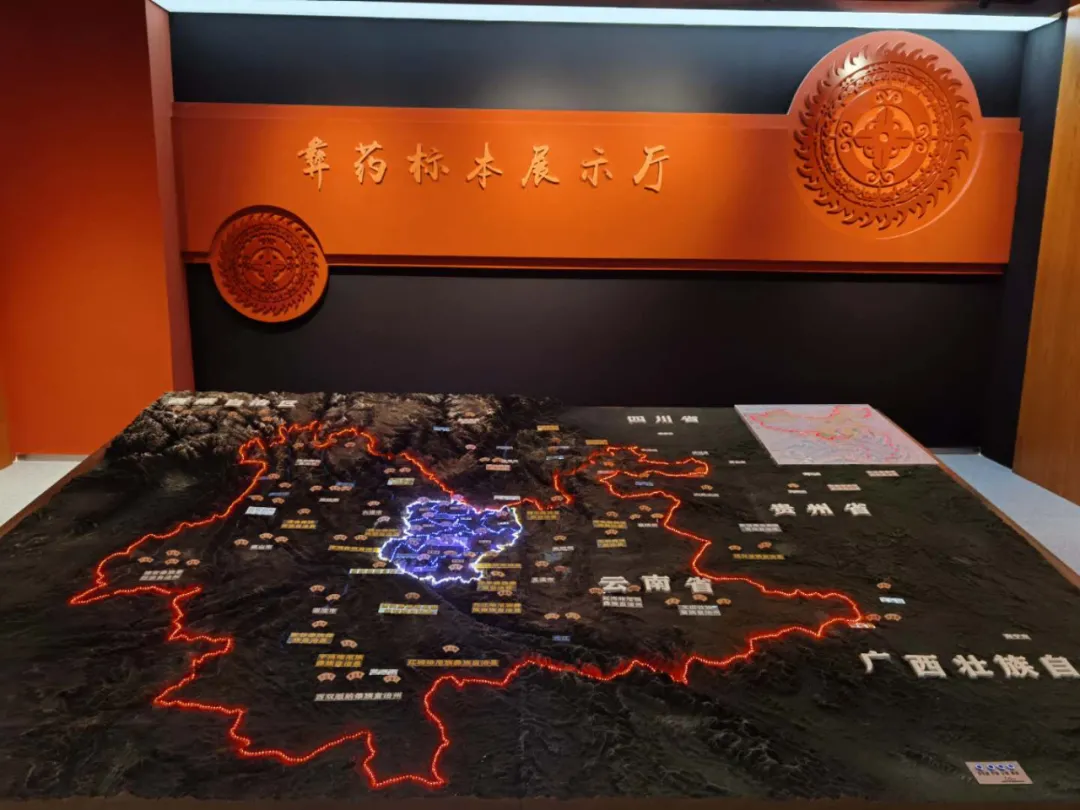 全国首个！中国彝医药博览馆在楚雄州建成开馆