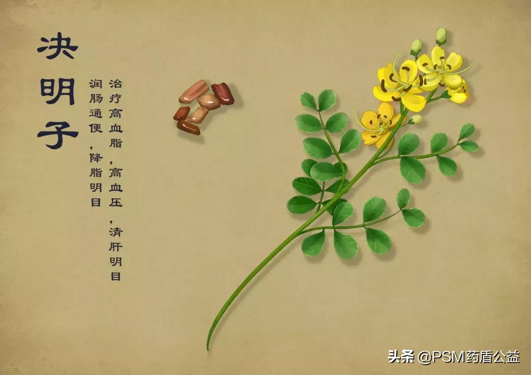 春暖花开，送上手绘中草药图谱~