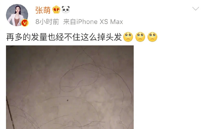 《乘风破浪的姐姐》开录，三位姐姐在线诉苦，节目组是真的“怂”