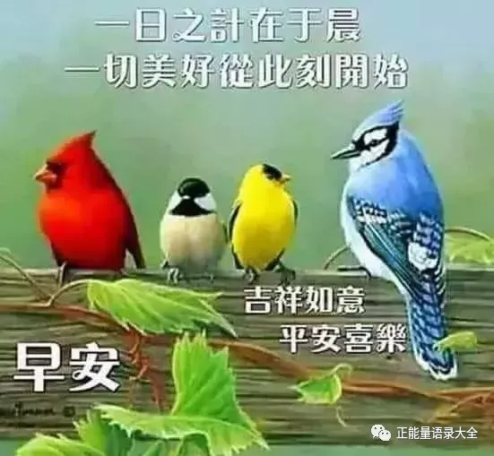 2021漂亮早安图片 早安最美好的祝福图片带字图片