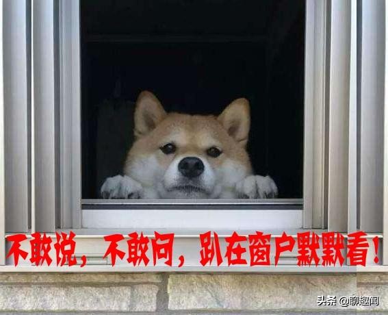 聊趣闻：你与成为明星的距离有多远？只差一个