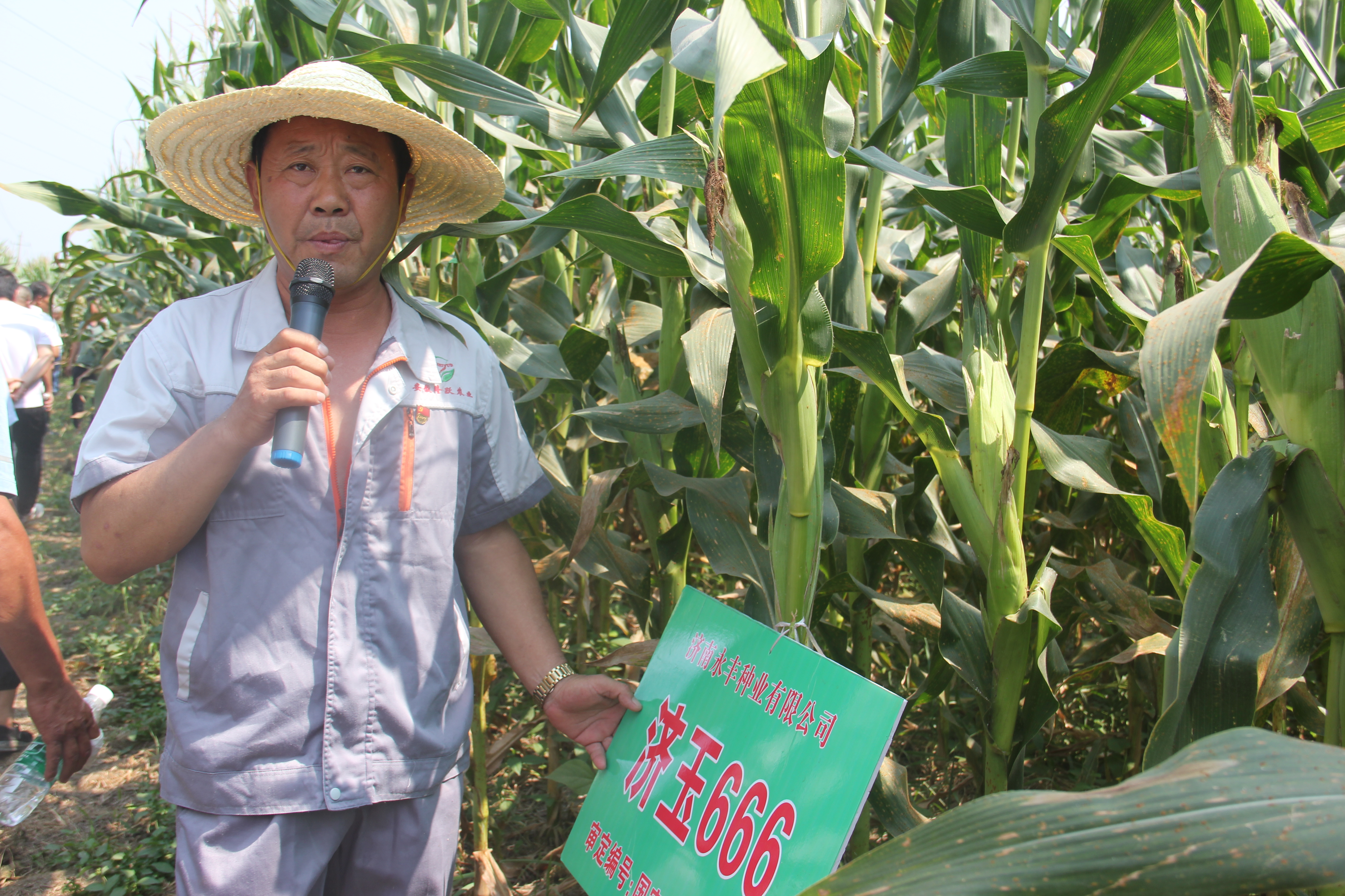 安徽濉溪：隆躍種業香飄大地