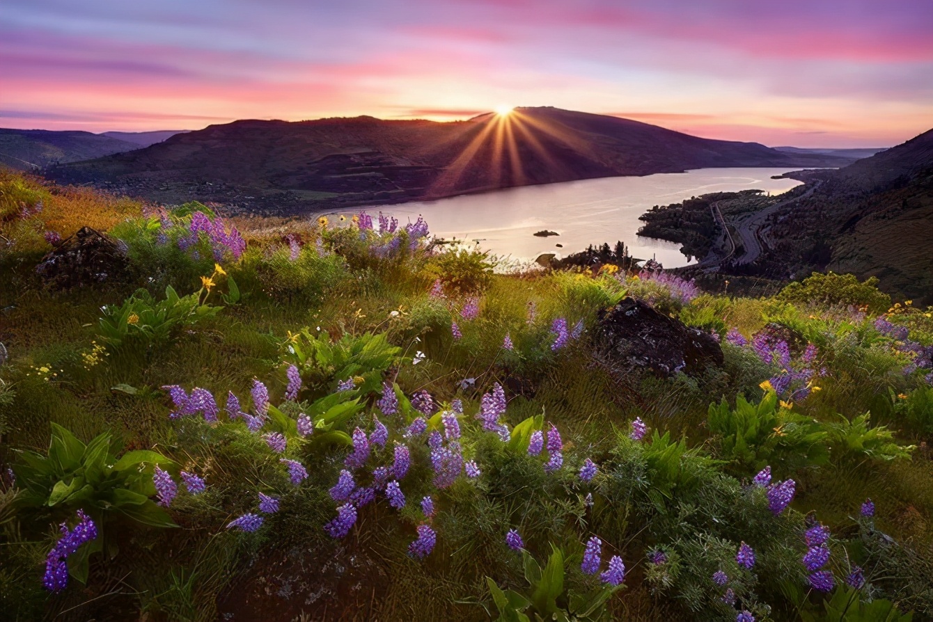 数字货币这次的全盘的下跌给币圈带来了哪些影响呢？