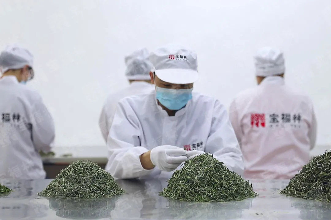 什么样的茶为好茶?