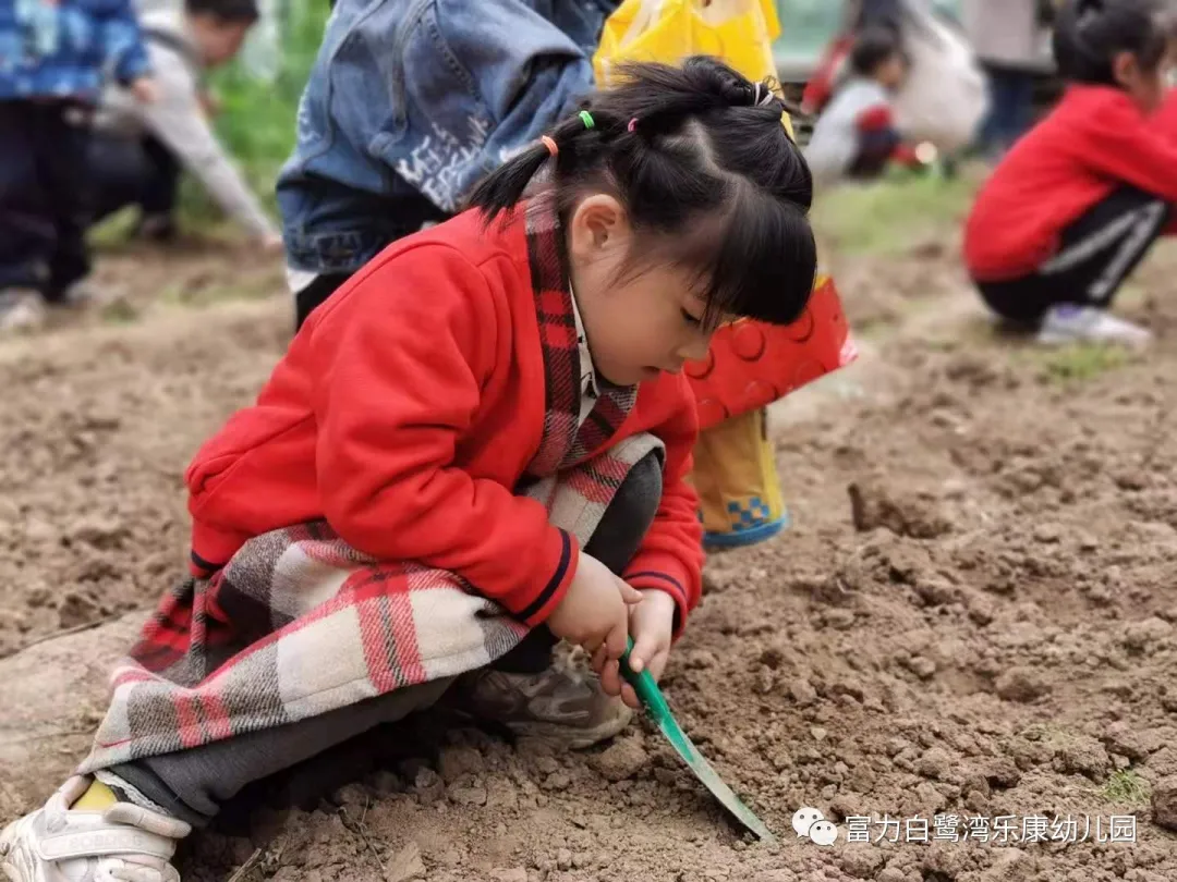 「活動回顧」:富力白鷺灣樂康幼兒園親子社會實踐活動走進新未來