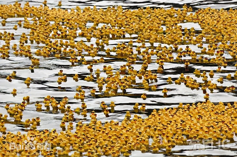 台灣貨輪堵死歐亞最大航道，每天損失800億，全球網友狂玩梗