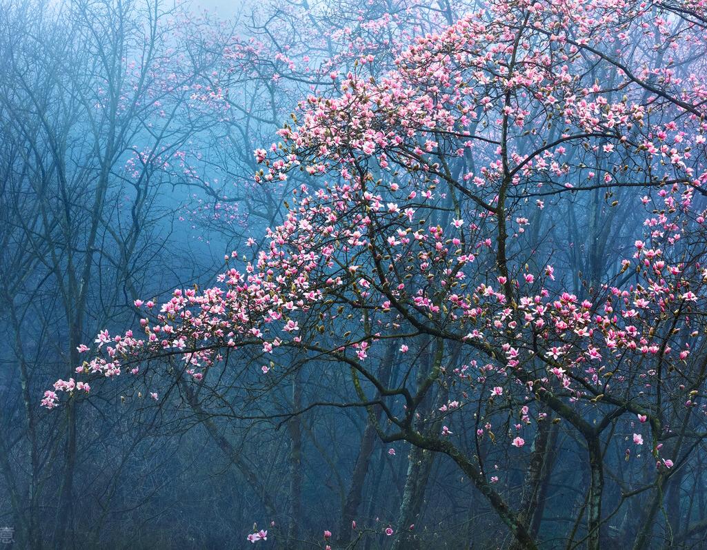 小故事之出墙女友