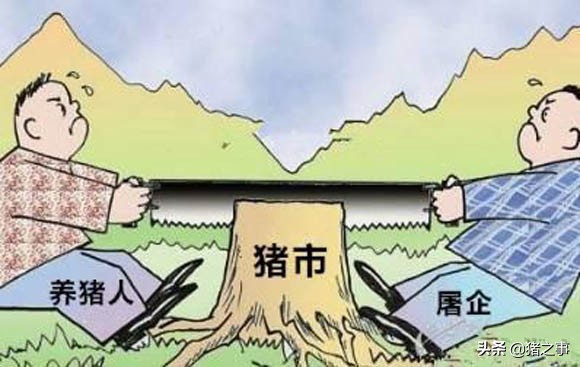 反转！华北、东北迎来上涨，难道猪价已“跌到