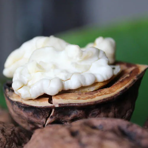 How delicious are fresh walnuts?