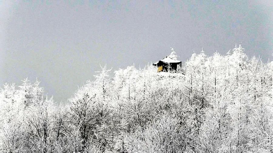 炎炎夏日，送你一组冰雪图片降降温