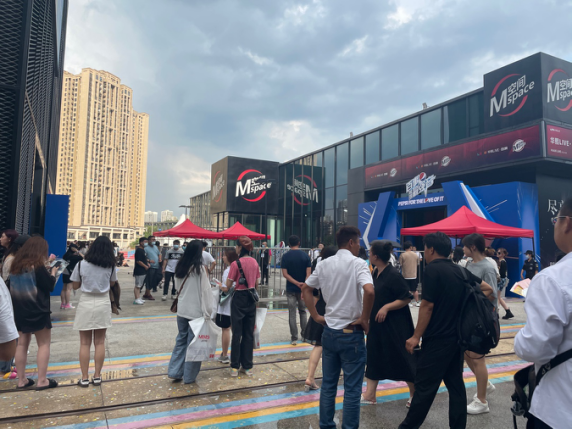 中年追星热：灯牌里的妈妈，逃得过“假靳东”却难逃假黄牛