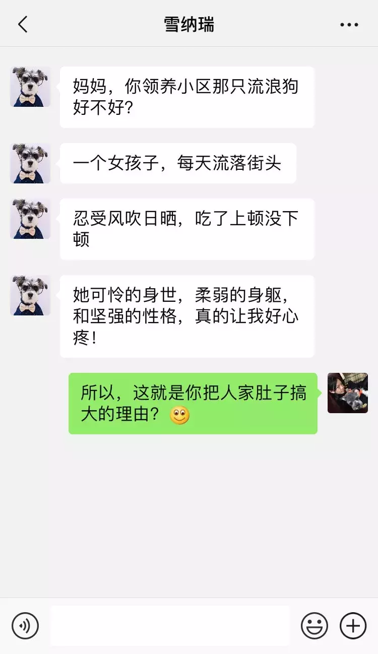 笑屎了！這些狗狗的聊天記錄，承包了我一周的笑點